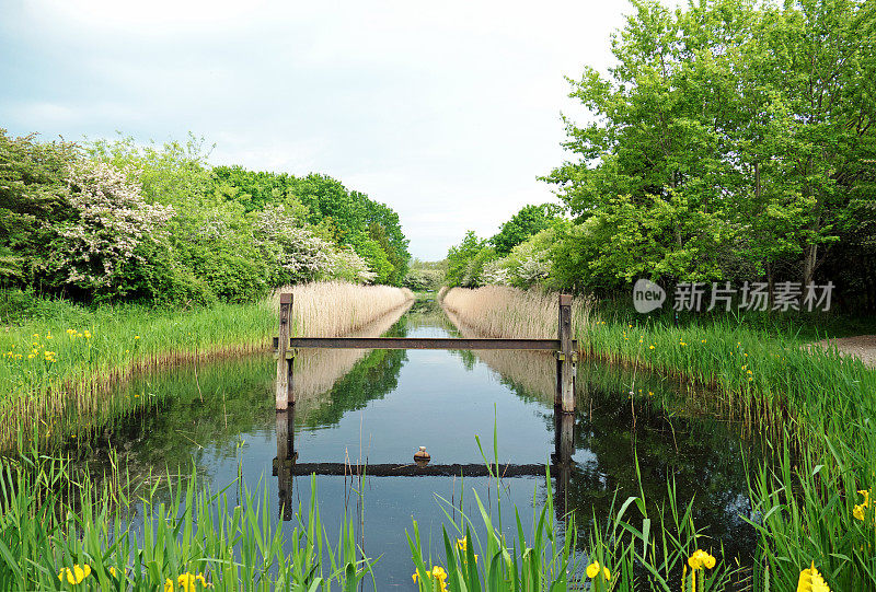 荷兰，Zeeland, Oranjezon自然保护区的景观